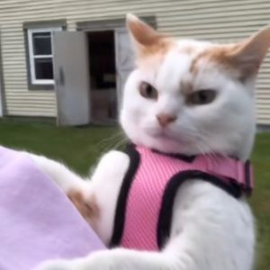 Meet your Posher, Melany ‘